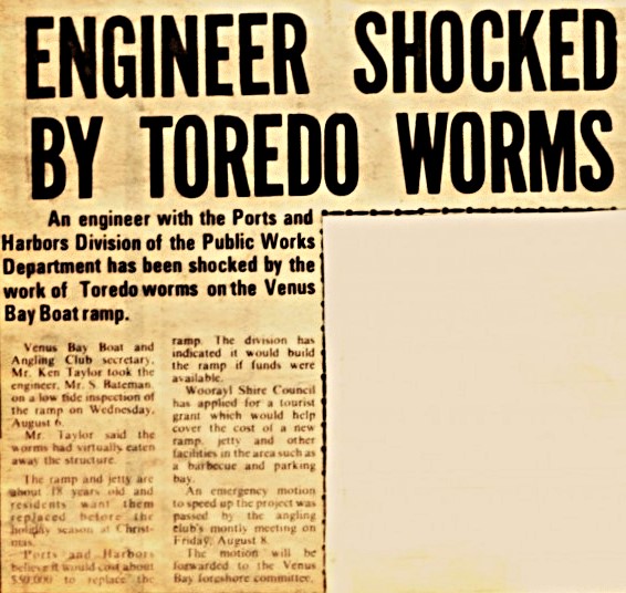 Unknown Newspaper, August 1980